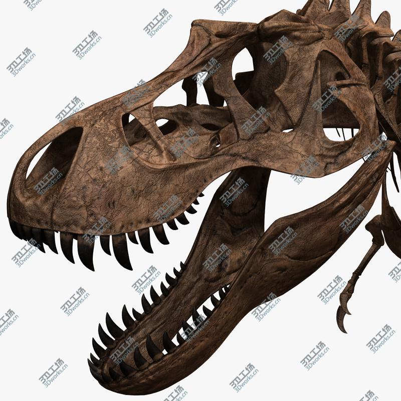 images/goods_img/202105071/T-rex Skeleton/4.jpg
